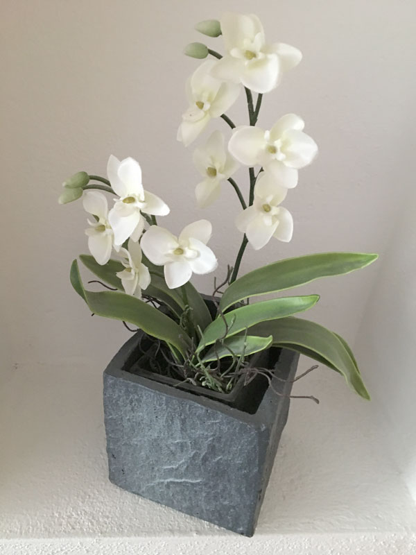 Bild einer künstlichen Orchidee