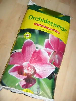 Orchideen benötigen unbedingt die richtige Erde Orchideenerde